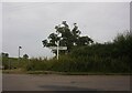 Road sign on Main Street, Newton Burgoland