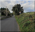 Entrance to the Cow Lane public footpath on Burrenbridge Road