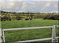 Cow Lane footpath viewed from Burrenbridge Road