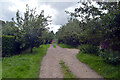 Track to Church Farm, Yaxham