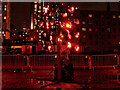 Tree of Fire at Homeground