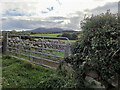 Field gate on Burrenbridge Road