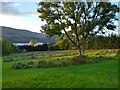 Frisbee golf at Loch Tay