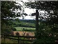 Footpath from Linton Hill