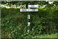 Direction Sign ? Signpost on Ranyard Lane, Asterby