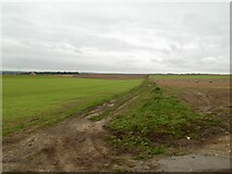 TA1365 : Field track near Carnaby by David Brown