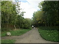 Footpath, Brierley Forest Park