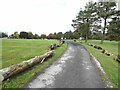 Roadway in Letcliffe Park