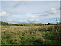 The site of Silverhill Colliery