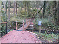 New footbridge across the Lyd near Norchard