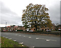 Abb Scott Lane, Bradford