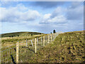 NX3191 : New fence line on north side of Pinbreck Hill by Trevor Littlewood