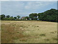 Woodford Cottage seen from the Isle of Wight Steam Railway