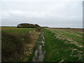 Catchwater Drain, Ewerby Fen