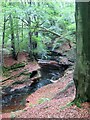 NY5259 : River Gelt carving its way through sandstone by Gordon Hatton