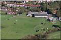 Farm animals grazing on land at Tas Coombe, East Sussex