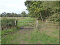 Footpath to Aqualate Mere