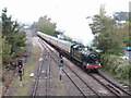 Dartmouth Steam Railway near Goodrington sidings