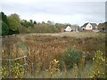 Drainage pond for new housing