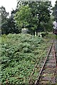 SJ1643 : On the Llangollen Railway by Trevor Harris