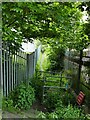 Overgrown footpath off Bowling Park Drive