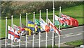 Goodwick Beach - Flags