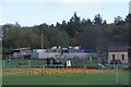 Pumpkins, Matlock Farm Park