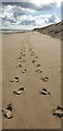 TG3136 : Footprints in the Sand at Mundesley by Christine Matthews