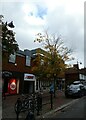 Autumnal tree in Godalming High Street