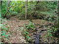 Range Dike upstream of the footbridge, Farnley Tyas