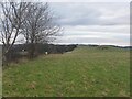 Fields parallel to B925 near Auchtertool