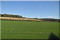 Stour Valley farmland