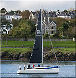 J5082 : Yacht 'Didgeri Two' at Bangor by Rossographer