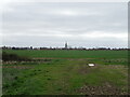 TF1341 : Crop field near Little Hale by JThomas