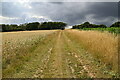 Byway over the North Downs