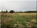 Derelict field between North Scarle and Eagle