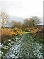 Former Kirkcaldy District Railway line near Auchtertool