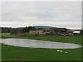 Flooded field at Cardenbarns