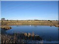 Pond near Fife College