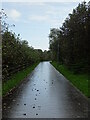 C4417 : Path along the River Foyle by Matthew Chadwick