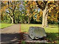 Path through Braunstone Park