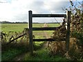 Footpath, Littles Manor Farm, near Plumford