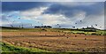 South Charlton Farm, Northumberland