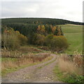 NT4939 : Access road, Ladhope Moor by Richard Webb