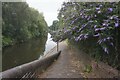 Birmingham New Main Line Canal