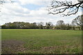 Field on the edge of Tenterden