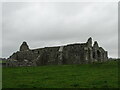 G1832 : Rathfran Abbey by Matthew Chadwick