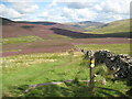 NY2829 : The Caldew Valley near Skiddaw House by Adrian Taylor