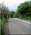 SO3102 : Towards a bend in Berthon Road, Little Mill, Monmouthshire by Jaggery