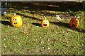 SO8743 : Hallowe'en pumpkins by Philip Halling